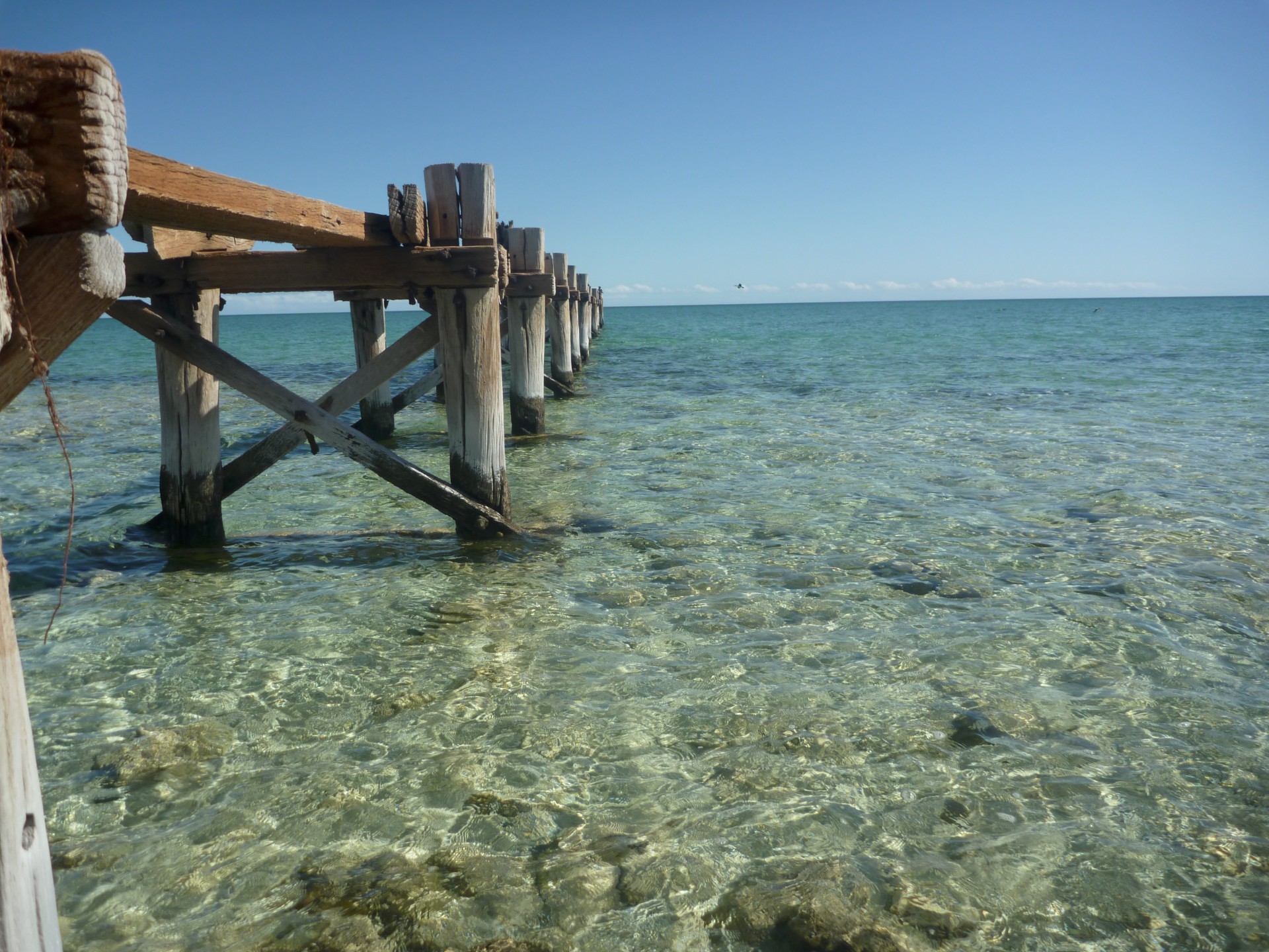 Carnarvon Shire Image 58