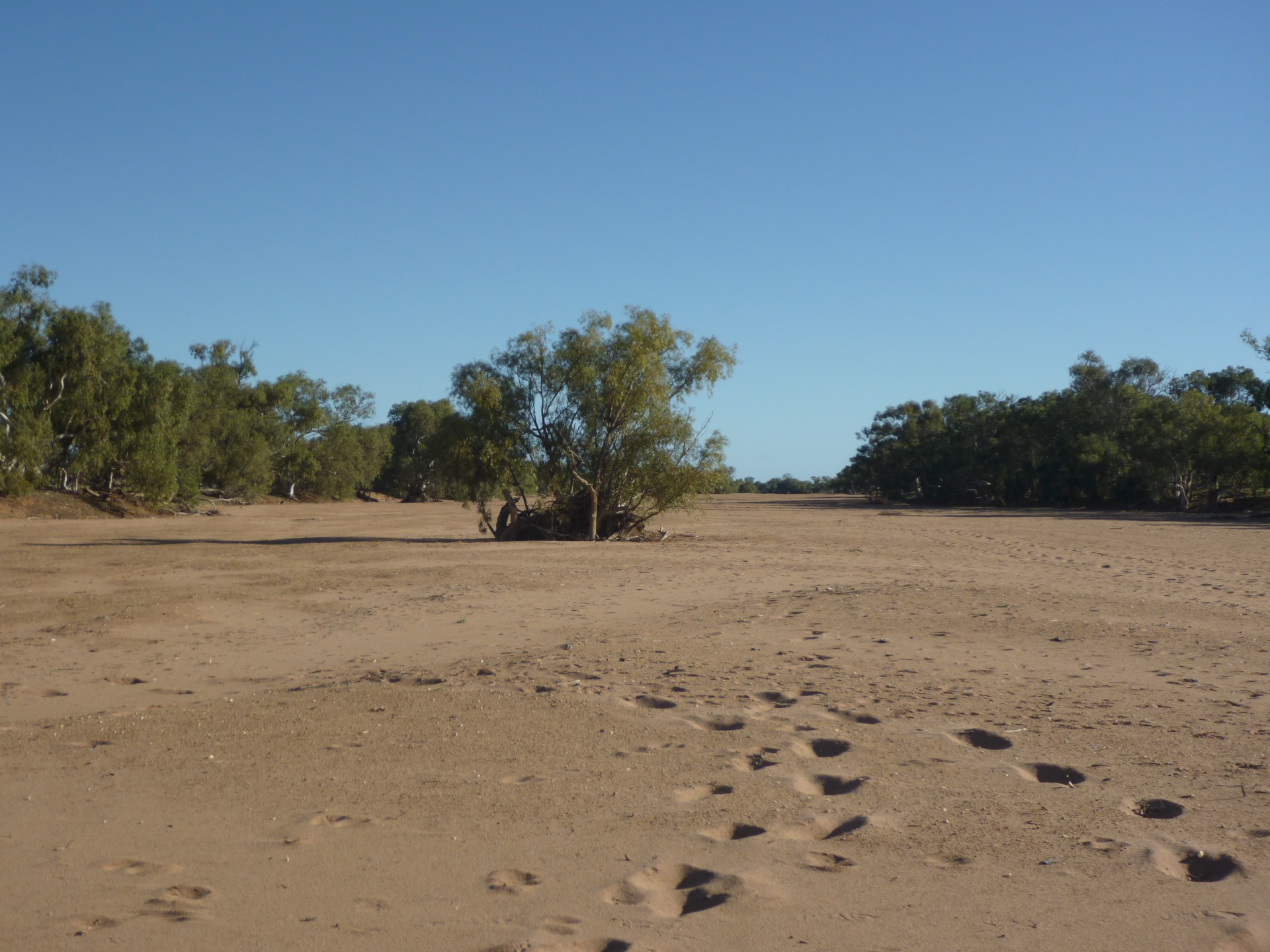Carnarvon Shire Image 55
