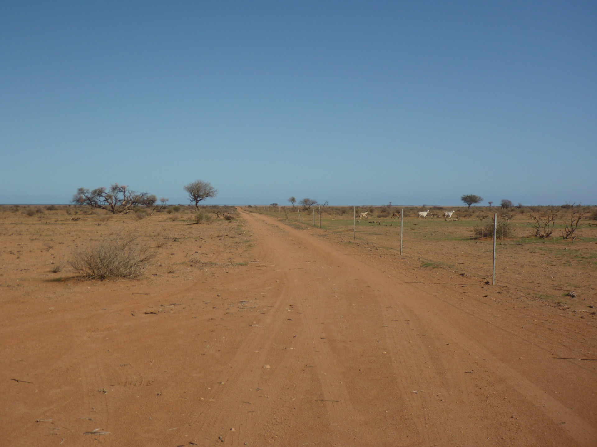 Carnarvon Shire Image 41